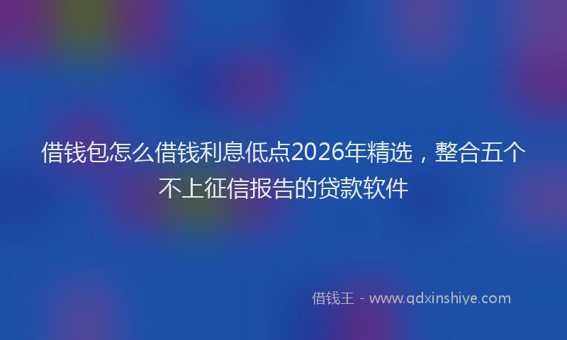 借钱包怎么借钱利息低点2026年精选，整合五个不上征信报告的贷款软件