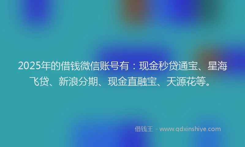 2025年的借钱微信账号有:现金秒贷通宝、星海飞贷、新浪分期、现金直融宝、天源花等。