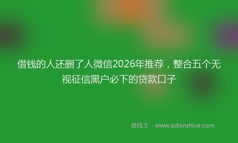 借钱的人还删了人微信2026年推荐，整合五个无视征信黑户必下的贷款口子