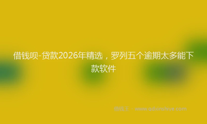 借钱呗-贷款2026年精选，罗列五个逾期太多能下款软件
