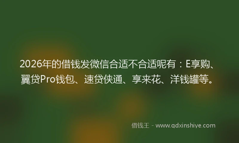 2026年的借钱发微信合适不合适呢有:E享购、翼贷Pro钱包、速贷侠通、享来花、洋钱罐等。