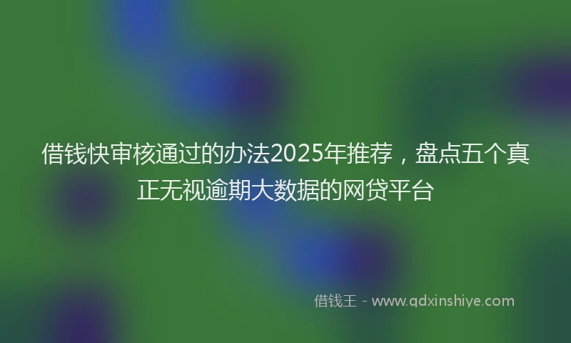 借钱快审核通过的办法2025年推荐，盘点五个真正无视逾期大数据的网贷平台