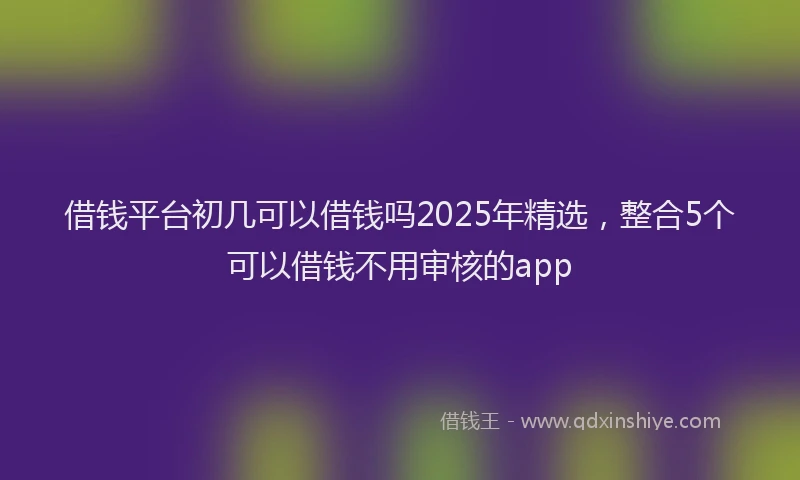 借钱平台初几可以借钱吗2025年精选，整合5个可以借钱不用审核的app