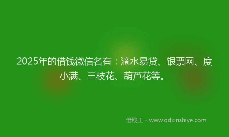 2025年的借钱微信名有：滴水易贷、银票网、度小满、三枝花、葫芦花等。