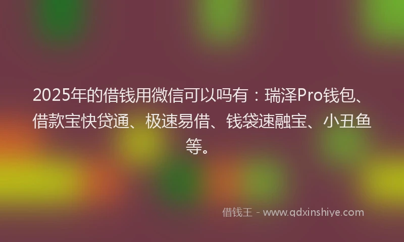 2025年的借钱用微信可以吗有:瑞泽Pro钱包、借款宝快贷通、极速易借、钱袋速融宝、小丑鱼等。