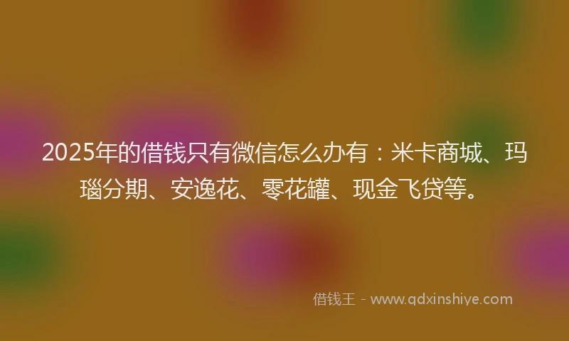 2025年的借钱只有微信怎么办有:米卡商城、玛瑙分期、安逸花、零花罐、现金飞贷等。