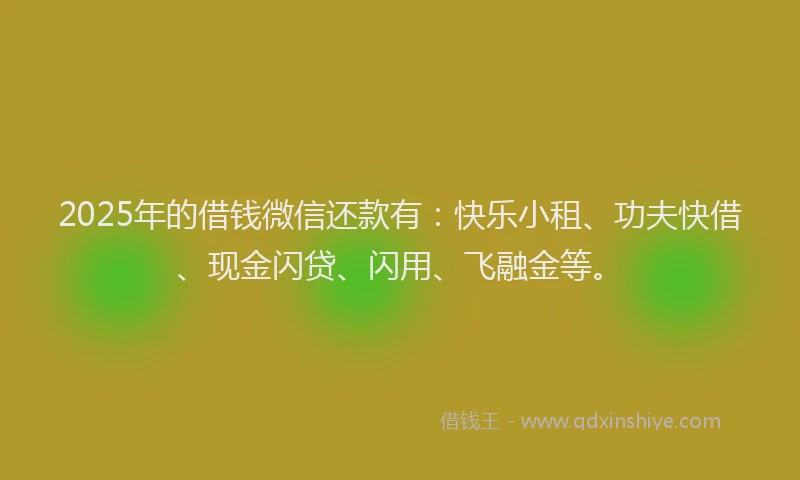 2025年的借钱微信还款有:快乐小租、功夫快借、现金闪贷、闪用、飞融金等。