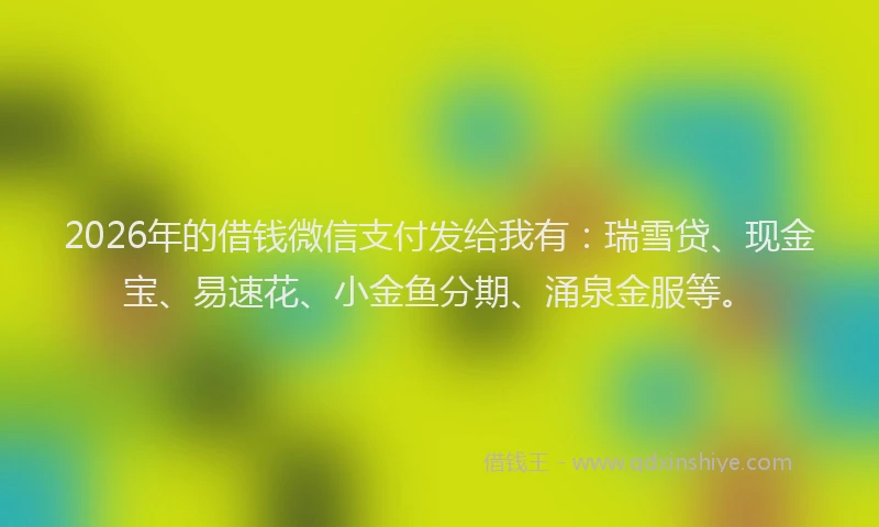 2026年的借钱微信支付发给我有：瑞雪贷、现金宝、易速花、小金鱼分期、涌泉金服等。