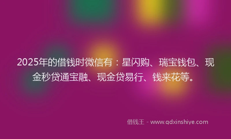 2025年的借钱时微信有：星闪购、瑞宝钱包、现金秒贷通宝融、现金贷易行、钱来花等。