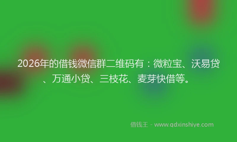 2026年的借钱微信群二维码有：微粒宝、沃易贷、万通小贷、三枝花、麦芽快借等。