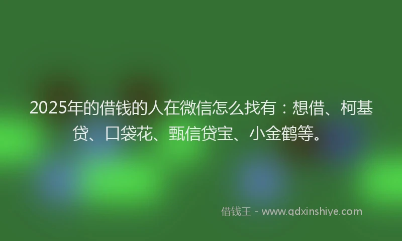 2025年的借钱的人在微信怎么找有：想借、柯基贷、口袋花、甄信贷宝、小金鹤等。