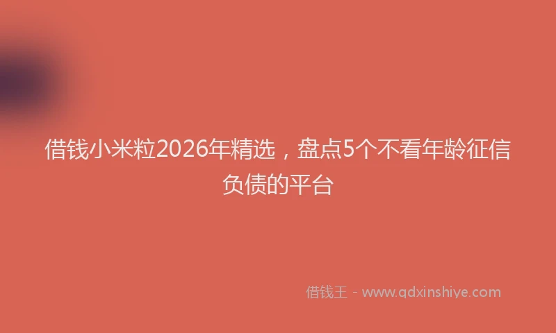 借钱小米粒2026年精选,盘点5个不看年龄征信负债的平台