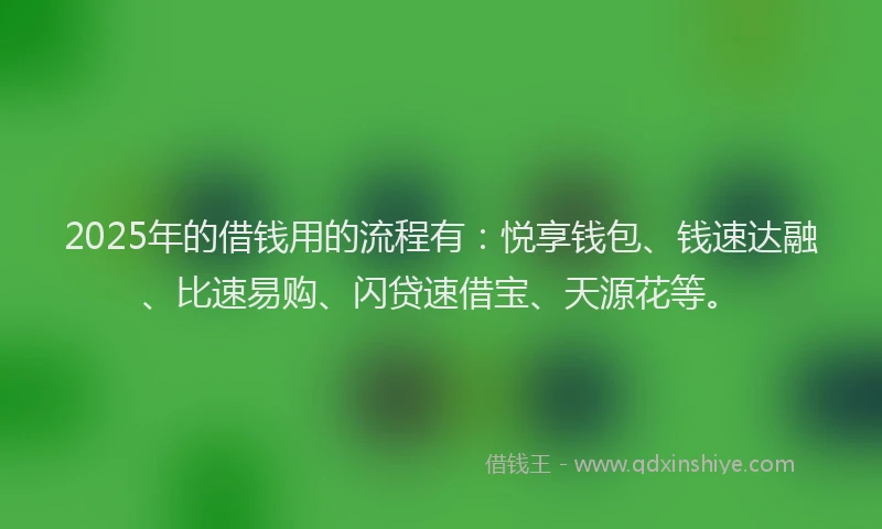 2025年的借钱用的流程有：悦享钱包、钱速达融、比速易购、闪贷速借宝、天源花等。
