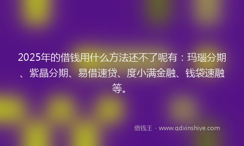 2025年的借钱用什么方法还不了呢有：玛瑙分期、紫晶分期、易借速贷、度小满金融、钱袋速融等。