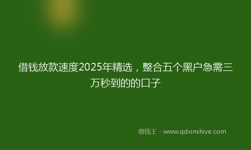 借钱放款速度2025年精选，整合五个黑户急需三万秒到的的口子