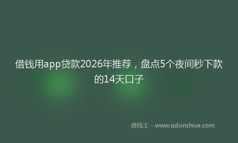 借钱用app贷款2026年推荐，盘点5个夜间秒下款的14天口子