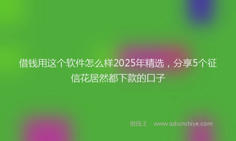 借钱用这个软件怎么样2025年精选，分享5个征信花居然都下款的口子