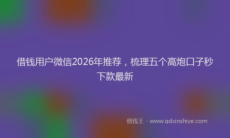 借钱用户微信2026年推荐，梳理五个高炮口子秒下款最新
