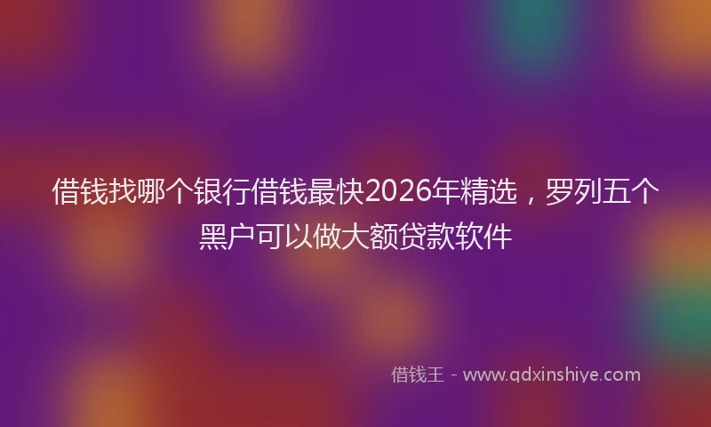 借钱找哪个银行借钱最快2026年精选，罗列五个黑户可以做大额贷款软件