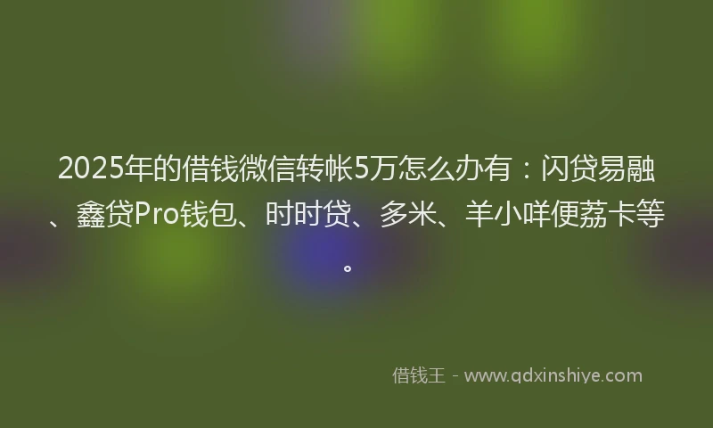 2025年的借钱微信转帐5万怎么办有:闪贷易融、鑫贷Pro钱包、时时贷、多米、羊小咩便荔卡等。