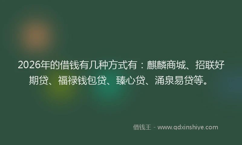 2026年的借钱有几种方式有：麒麟商城、招联好期贷、福禄钱包贷、臻心贷、涌泉易贷等。