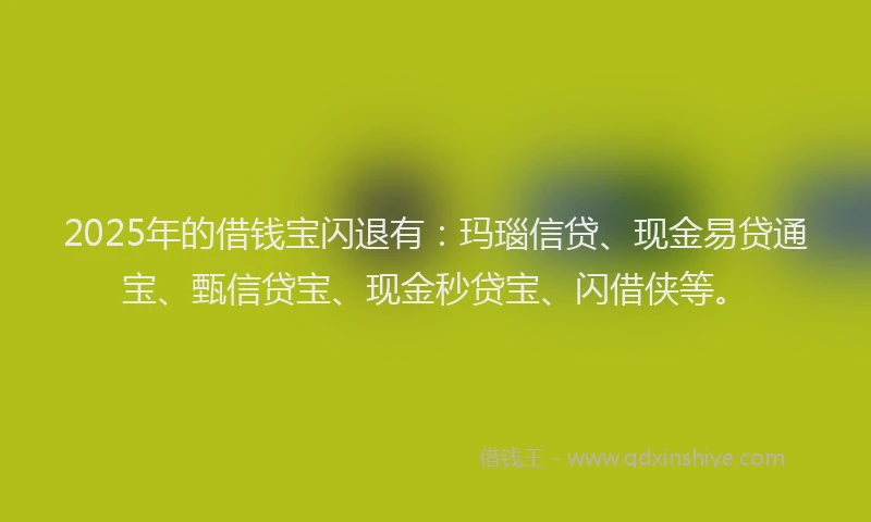 2025年的借钱宝闪退有：玛瑙信贷、现金易贷通宝、甄信贷宝、现金秒贷宝、闪借侠等。