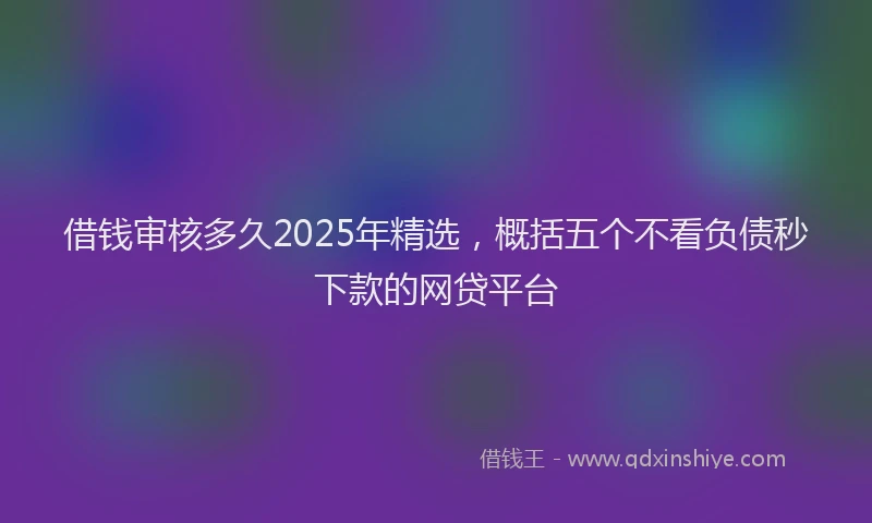 借钱审核多久2025年精选，概括五个不看负债秒下款的网贷平台