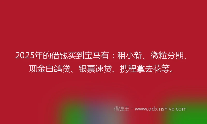 2025年的借钱买到宝马有：租小新、微粒分期、现金白鸽贷、银票速贷、携程拿去花等。