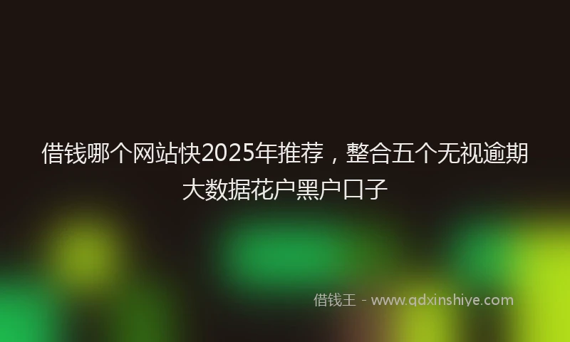 借钱哪个网站快2025年推荐,整合五个无视逾期大数据花户黑户口子