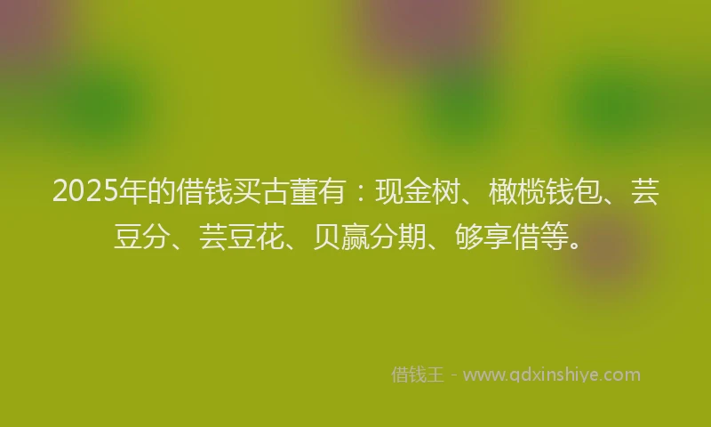 2025年的借钱买古董有:现金树、橄榄钱包、芸豆分、芸豆花、贝赢分期、够享借等。