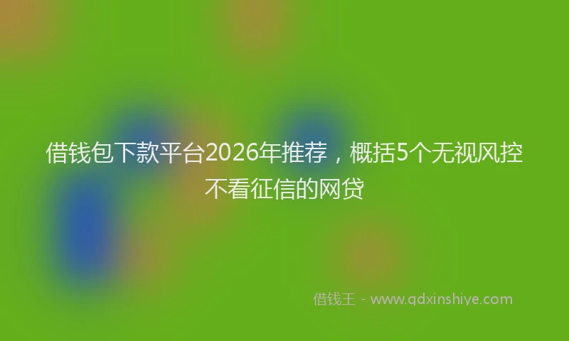 借钱包下款平台2026年推荐，概括5个无视风控不看征信的网贷