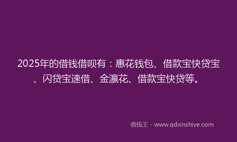 2025年的借钱借呗有：惠花钱包、借款宝快贷宝、闪贷宝速借、金瀛花、借款宝快贷等。