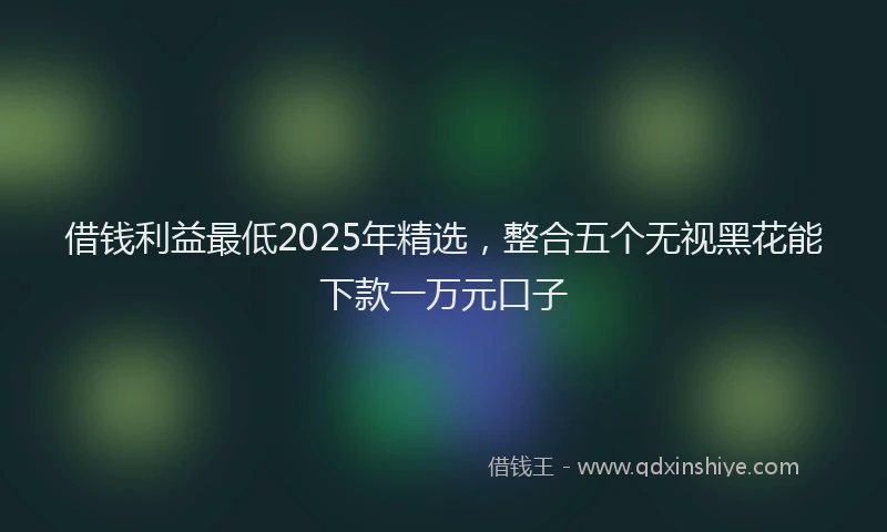 借钱利益最低2025年精选，整合五个无视黑花能下款一万元口子