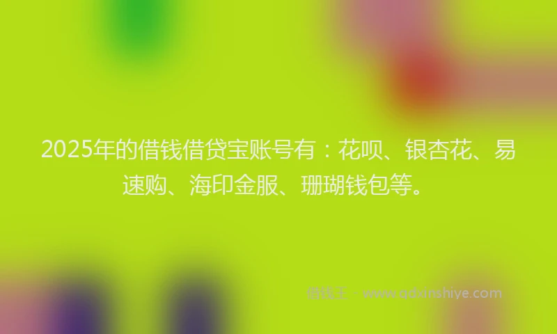 2025年的借钱借贷宝账号有:花呗、银杏花、易速购、海印金服、珊瑚钱包等。