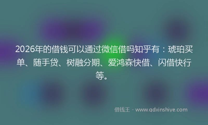 2026年的借钱可以通过微信借吗知乎有：琥珀买单、随手贷、树融分期、爱鸿森快借、闪借快行等。
