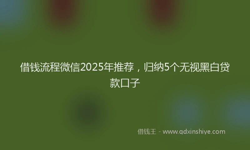 借钱流程微信2025年推荐，归纳5个无视黑白贷款口子