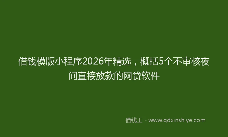 借钱模版小程序2026年精选，概括5个不审核夜间直接放款的网贷软件