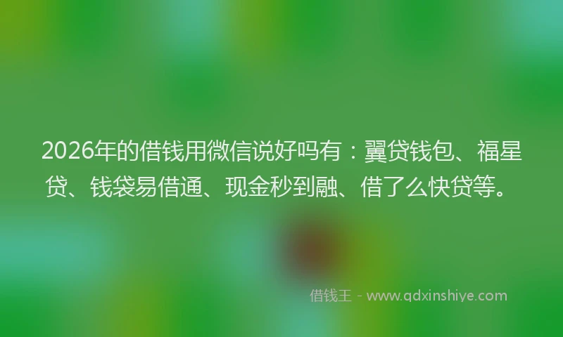2026年的借钱用微信说好吗有:翼贷钱包、福星贷、钱袋易借通、现金秒到融、借了么快贷等。