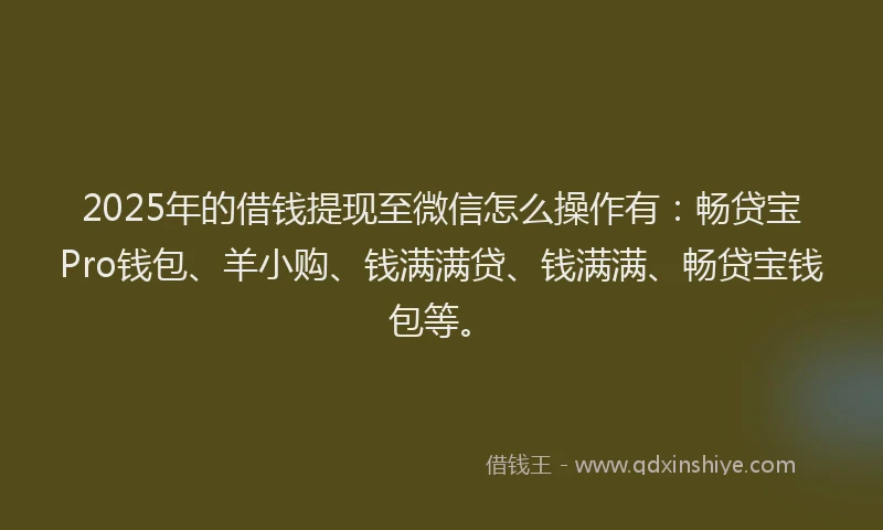 2025年的借钱提现至微信怎么操作有:畅贷宝Pro钱包、羊小购、钱满满贷、钱满满、畅贷宝钱包等。