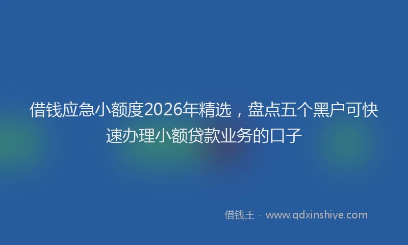 借钱应急小额度2026年精选，盘点五个黑户可快速办理小额贷款业务的口子