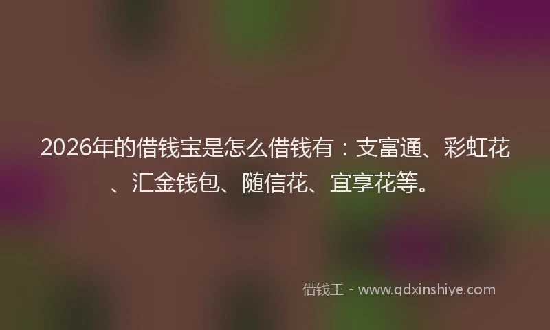2026年的借钱宝是怎么借钱有:支富通、彩虹花、汇金钱包、随信花、宜享花等。