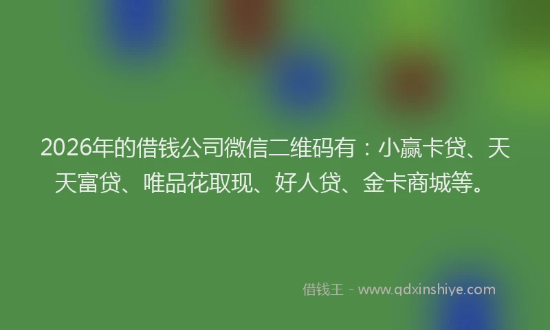 2026年的借钱公司微信二维码有：小赢卡贷、天天富贷、唯品花取现、好人贷、金卡商城等。