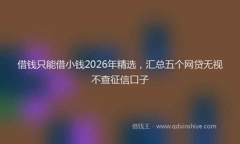 借钱只能借小钱2026年精选，汇总五个网贷无视不查征信口子