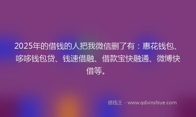 2025年的借钱的人把我微信删了有：惠花钱包、哆哆钱包贷、钱速借融、借款宝快融通、微博快借等。