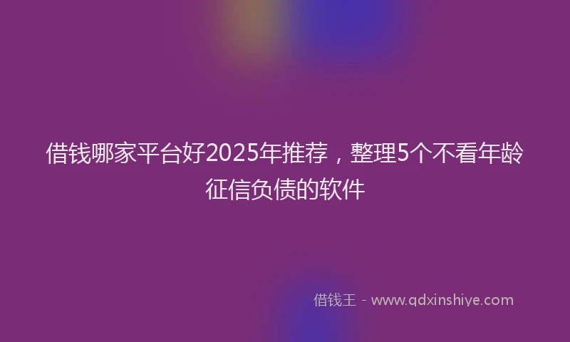 借钱哪家平台好2025年推荐，整理5个不看年龄征信负债的软件