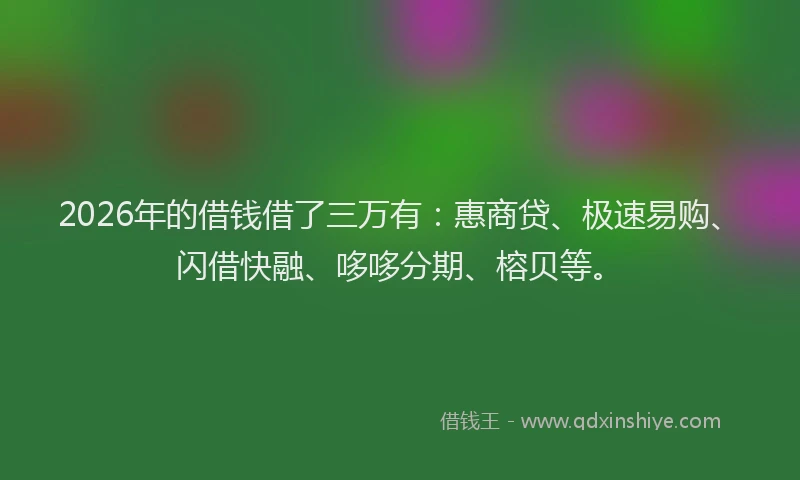 2026年的借钱借了三万有：惠商贷、极速易购、闪借快融、哆哆分期、榕贝等。