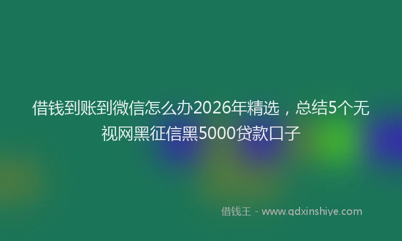 借钱到账到微信怎么办2026年精选，总结5个无视网黑征信黑5000贷款口子