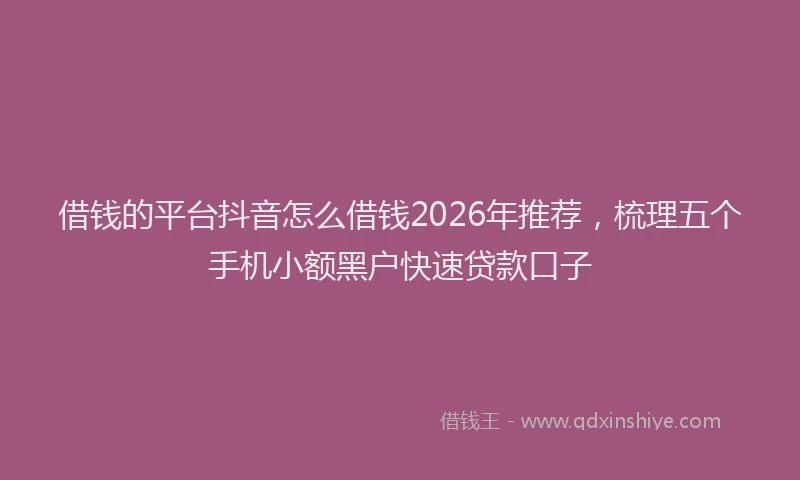 借钱的平台抖音怎么借钱2026年推荐，梳理五个手机小额黑户快速贷款口子