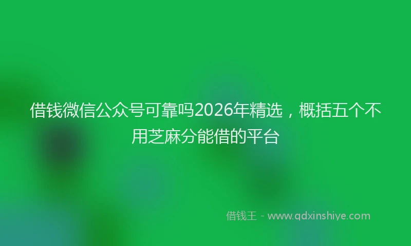 借钱微信公众号可靠吗2026年精选，概括五个不用芝麻分能借的平台