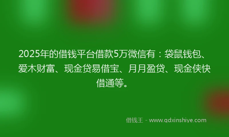 2025年的借钱平台借款5万微信有：袋鼠钱包、爱木财富、现金贷易借宝、月月盈贷、现金侠快借通等。